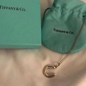 Authentic Tiffany’s Horseshoe Necklace
